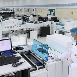 Labs